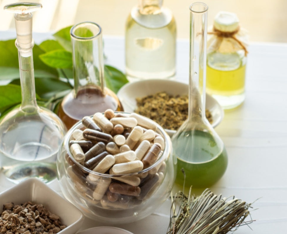 Living in the Now: The Importance of Contemporary Living and Total Wellness